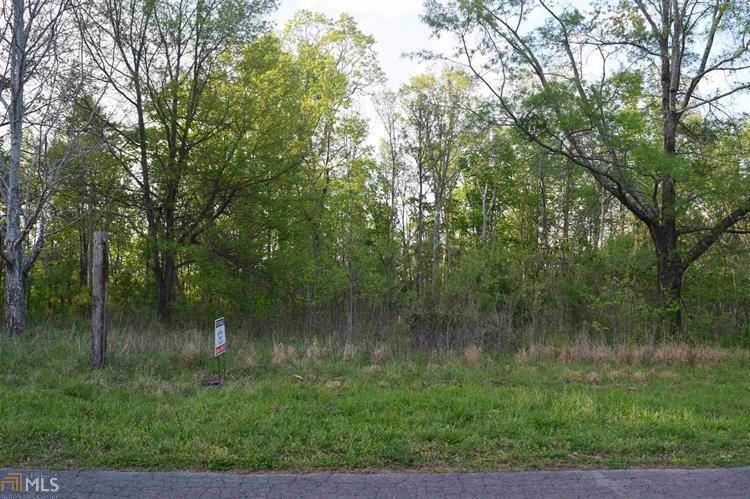 0 Mckibben Road - Photo 1