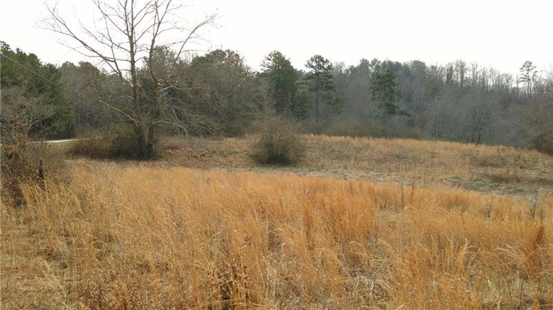 5565 Grant Ford Road - Photo 1