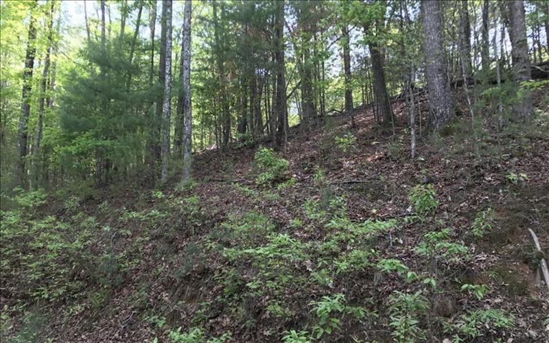 Lot 6 Lazy Springs Road - Photo 1