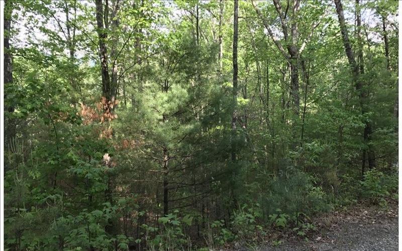 Lot 9 Lazy Springs Road - Photo 1