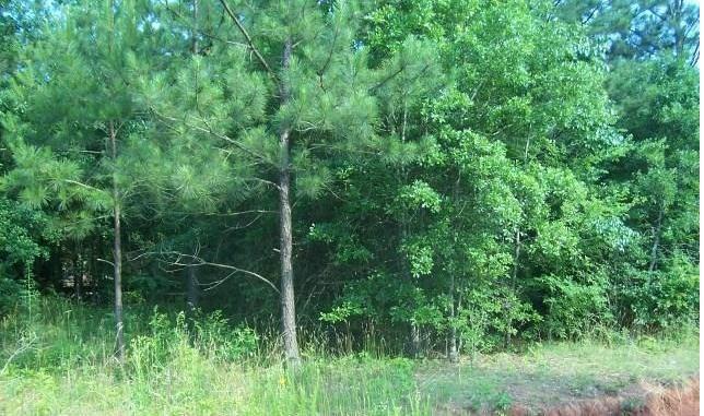 0 Smokey Trail - Photo 1