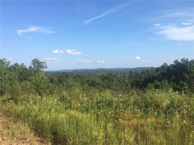 3050 Old Dalton Road - Photo 1
