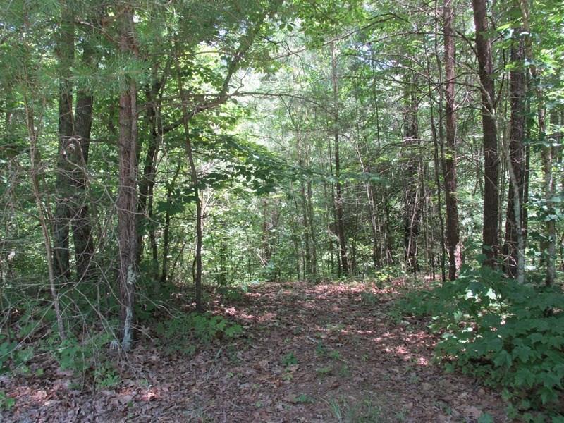 0 Lakeland Drive - Photo 1