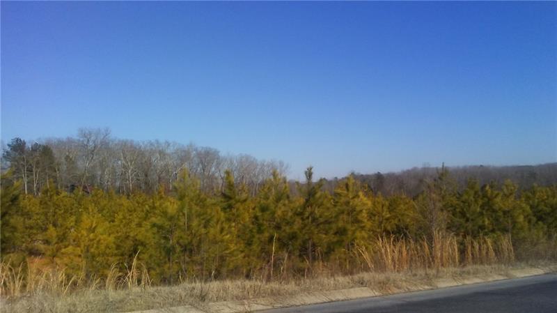 0 Main Street - Photo 1