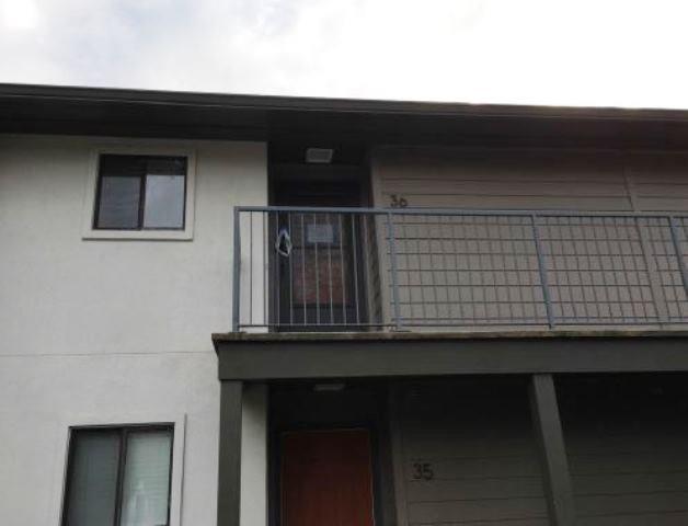 36 Finch Trail - Photo 1