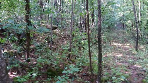 1125 Pine Grove Road - Photo 1