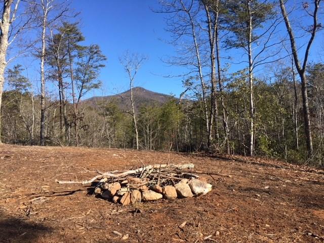 2220 Chimney Mountain Road - Photo 1