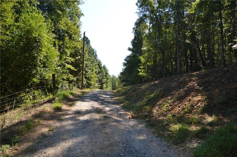 Lot 3 Ollie Long Road - Photo 1