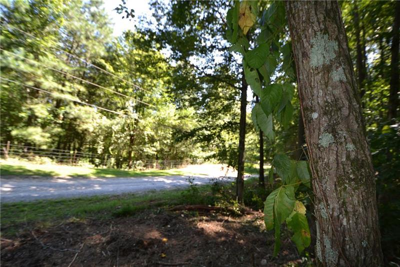Lot 6 Ollie Long Road - Photo 1