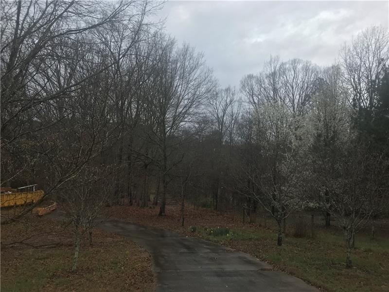 0 Shannon Tract 4 Road - Photo 1