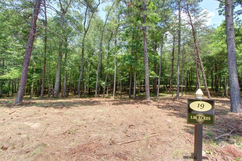 4550 Fawn Path - Photo 1