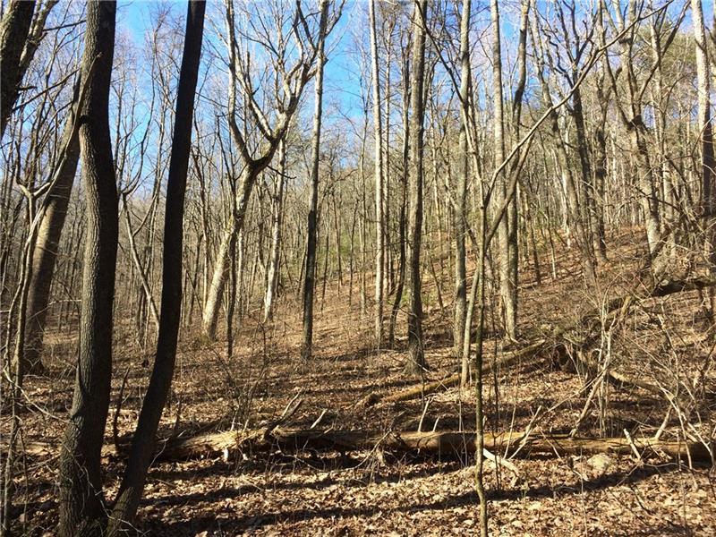 99 Sharp Mountain Parkway - Photo 1