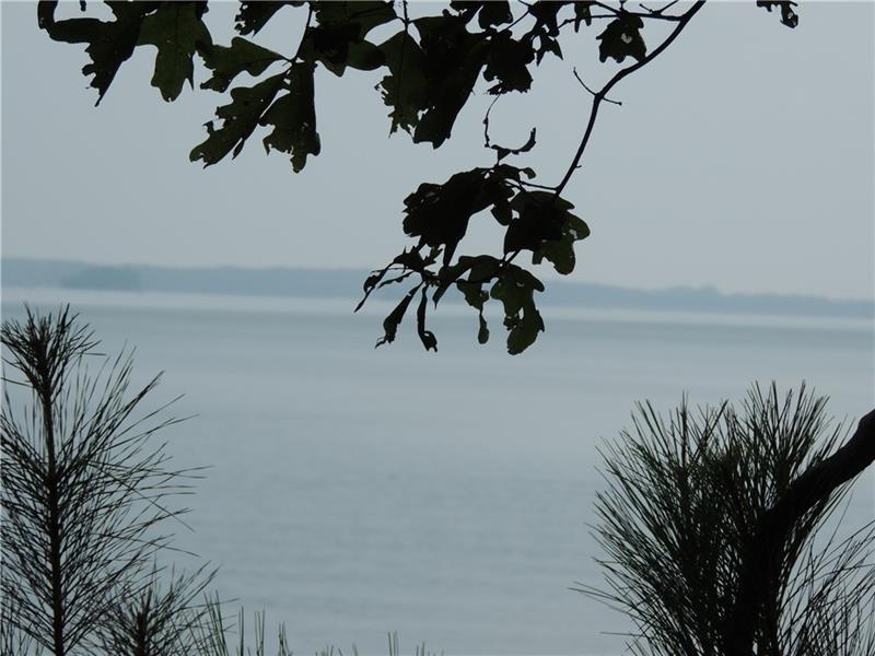 Lot 12 Lake Pointe Road - Photo 1