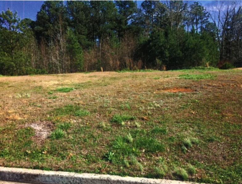 2593 Alcovy Club Drive - Photo 1