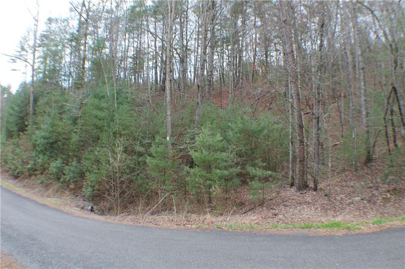 0 Red Oak Trail - Photo 1