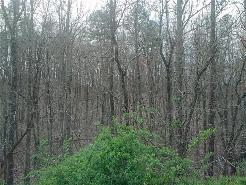4995 Forest Drive - Photo 1