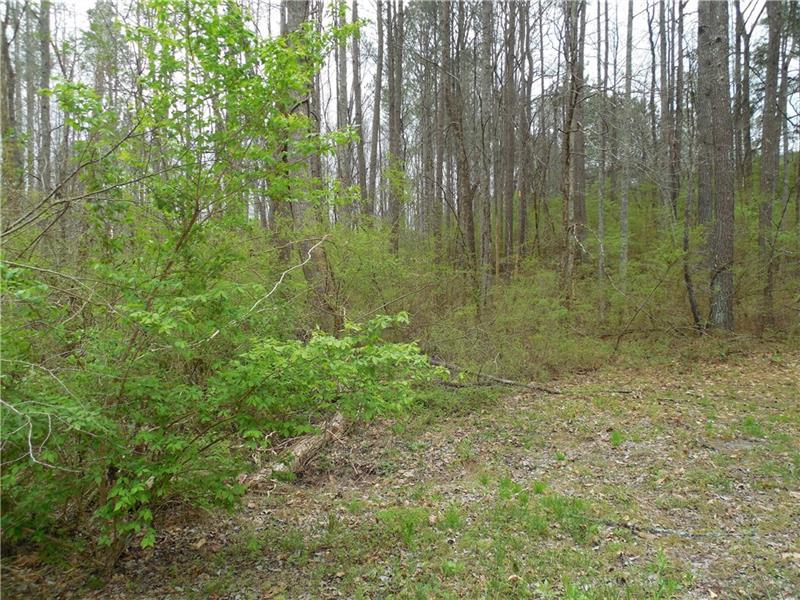 00 Green Valley Farm Road - Photo 1