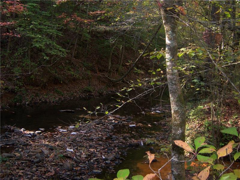 0 Bluffs Parkway - Photo 1
