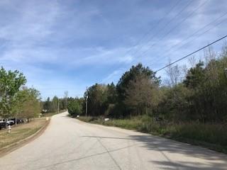 0 Nathan Boulevard - Photo 1