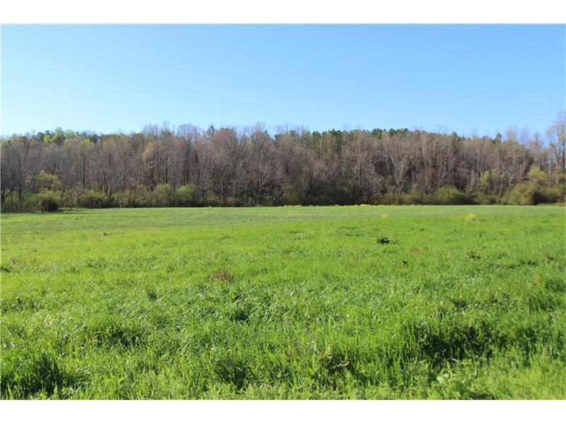 7061 Ransom Free Road - Photo 1