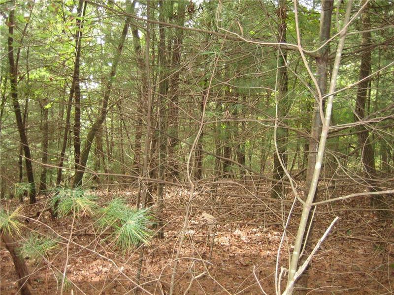 303 Hemlock Cove - Photo 1