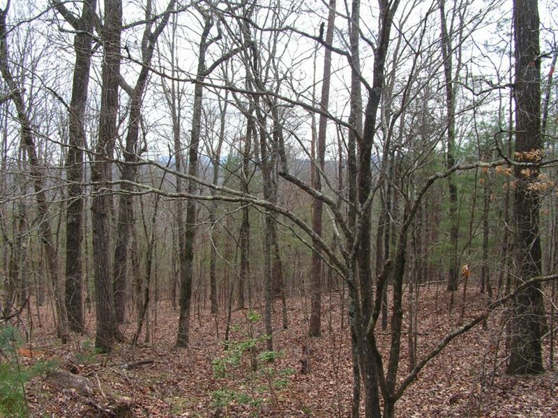 0 Hudson Quarry Road - Photo 1