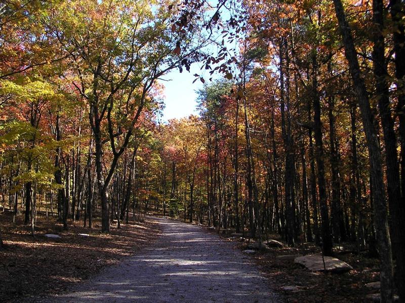 201 Mystic Trail - Photo 1