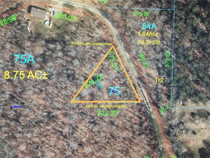 0 Hill Minshew Road - Photo 1