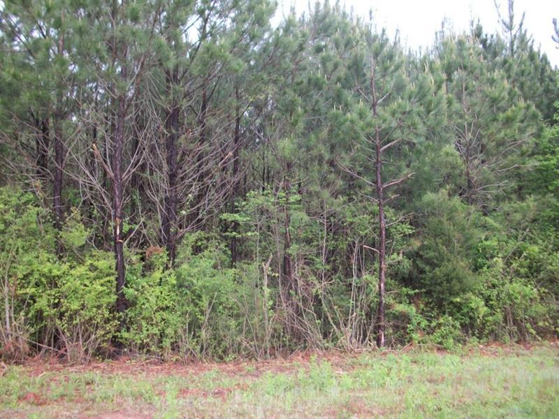 635 Nunnally Farm Road - Photo 1