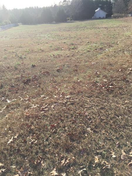 0 Hawks Nest Road - Photo 1