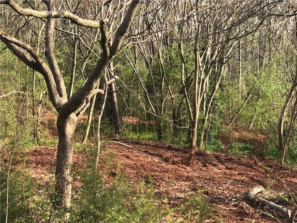 3792 Tanners Mill Road - Photo 1