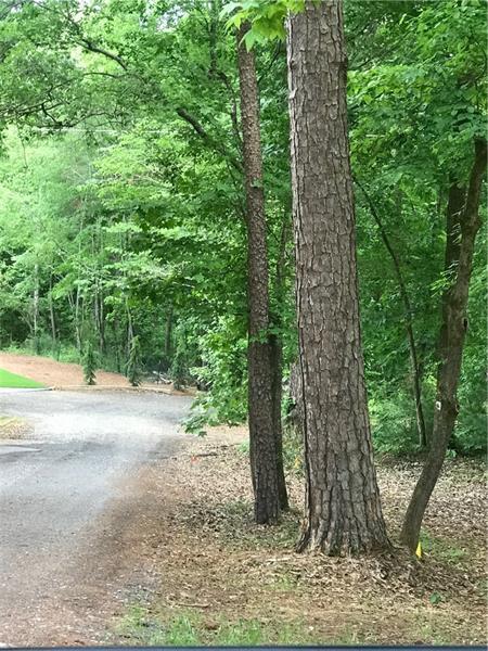 6654 Vaughn Road - Photo 1