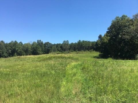 00 Little Sand Mountain Road - Photo 1