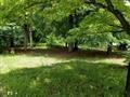 463 Valley Hill Road - Photo 1