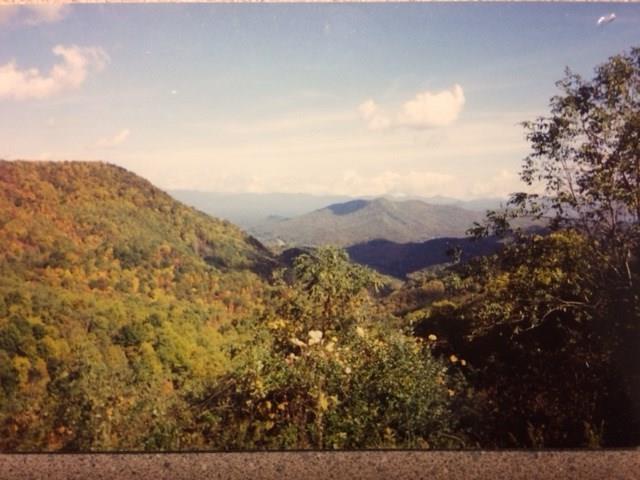 60 Bull Gap Tract 1 Road - Photo 1