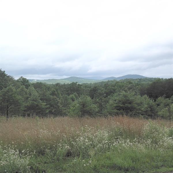 346 Deer Woods Trail - Photo 1