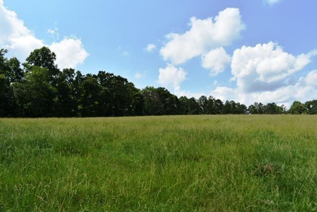 0 Seabreeze Lake Road - Photo 1