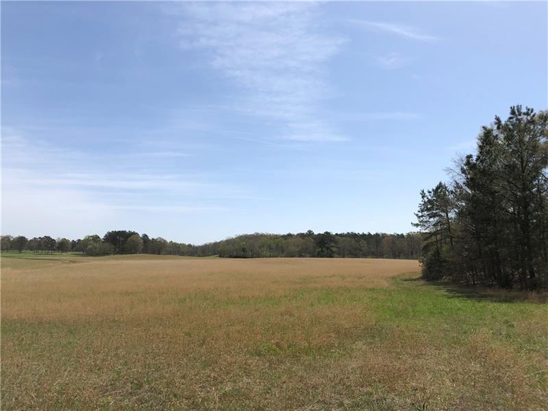 00000 Iron Hill Road - Photo 1