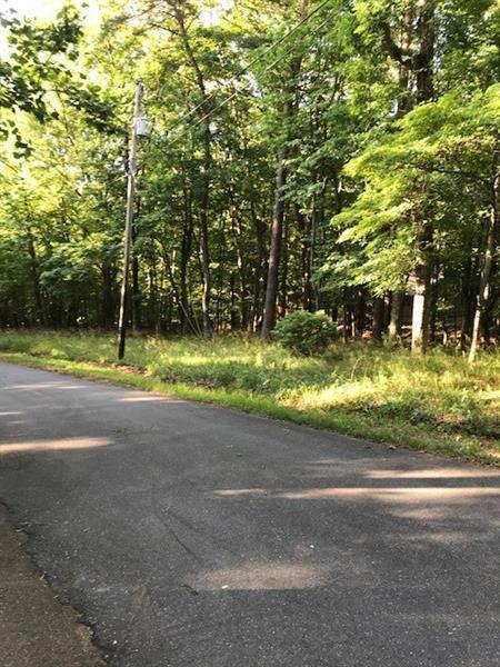 Lot 46 Buckeye Trail - Photo 1