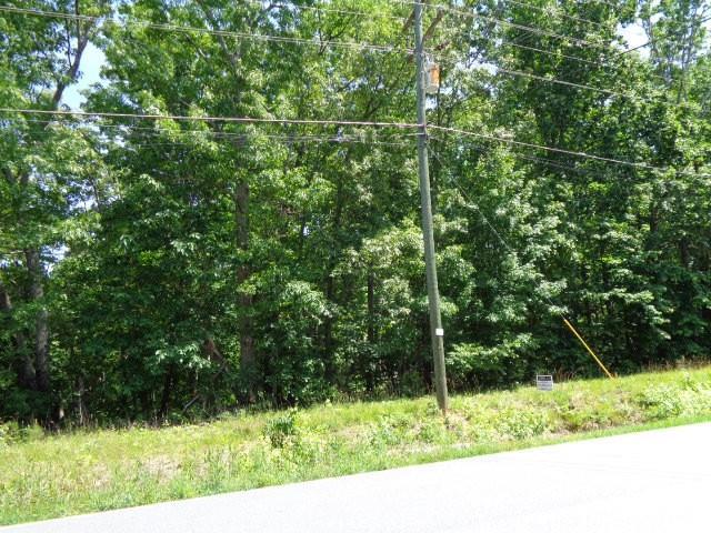 0 Old Douglasville Road - Photo 1