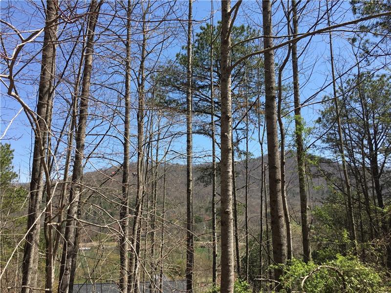 0 Itseyi Trail - Photo 1