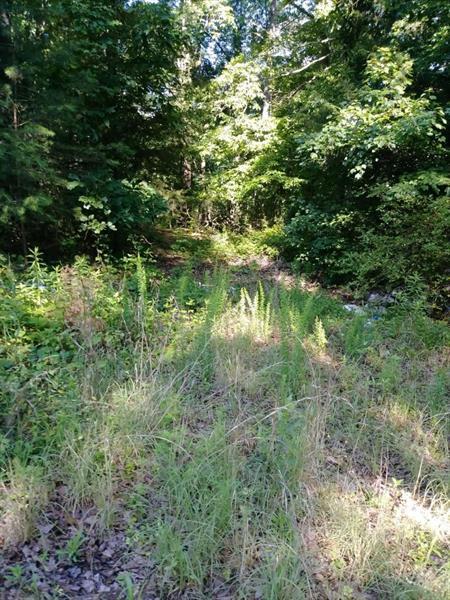 5260 Parks Road - Photo 1