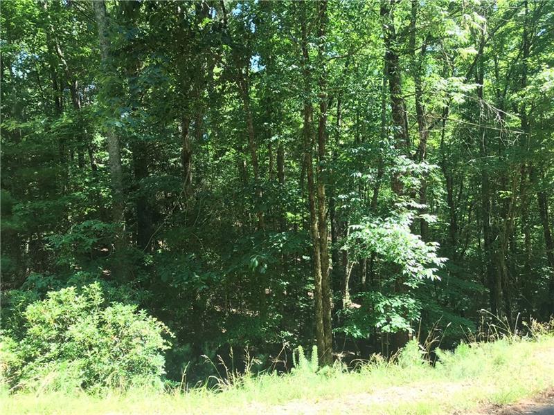 0 Wedowee Court - Photo 1