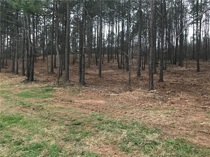 195 Dempsey Loop Rd - Photo 1