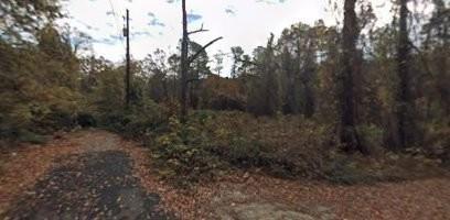 2031 Old River Road - Photo 1
