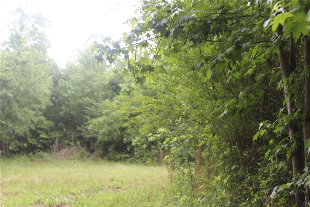 3555 Old Monroe Madison Highway - Photo 1