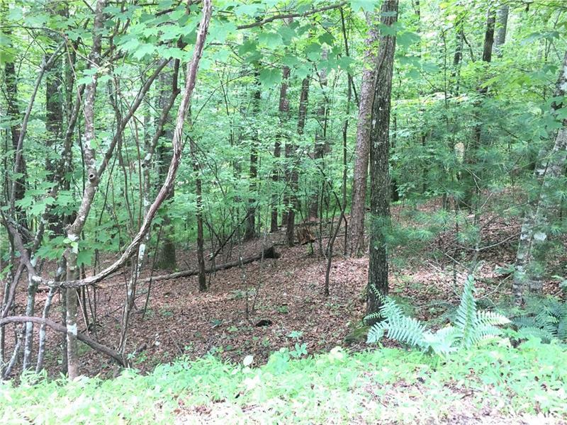 0 Lemmon Lane - Photo 1