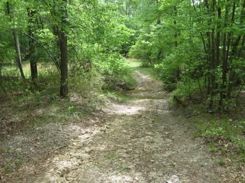 2199 Roosterville Road - Photo 1