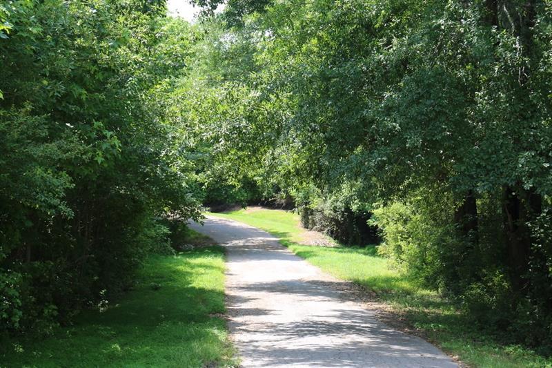0 Park Drive - Photo 1