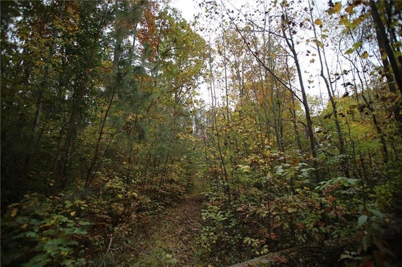 Lot 2 Smokey Path - Photo 1